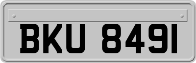 BKU8491