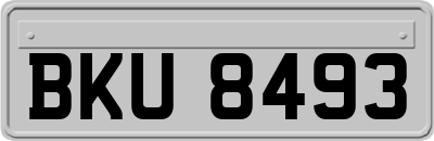 BKU8493
