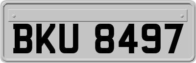 BKU8497