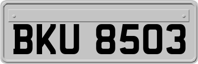 BKU8503