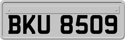 BKU8509
