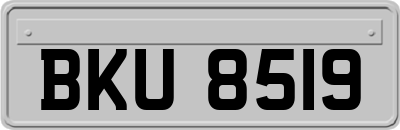 BKU8519