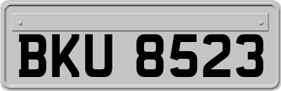 BKU8523