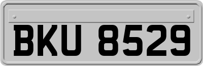 BKU8529