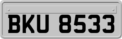 BKU8533