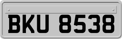 BKU8538