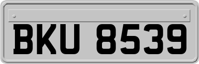 BKU8539