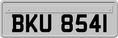 BKU8541
