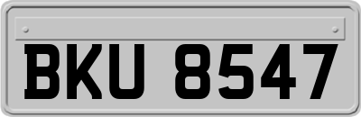 BKU8547