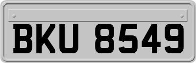 BKU8549