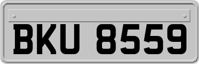 BKU8559