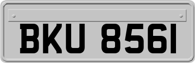 BKU8561