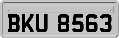 BKU8563