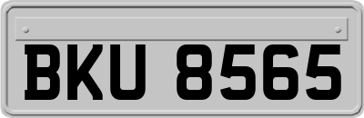 BKU8565