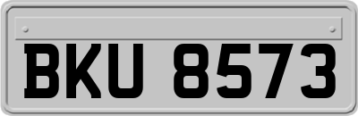 BKU8573