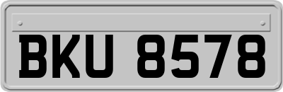 BKU8578