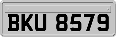 BKU8579