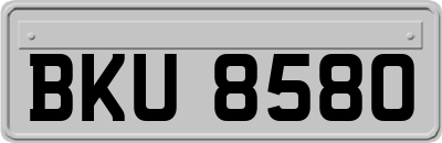 BKU8580