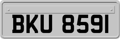 BKU8591