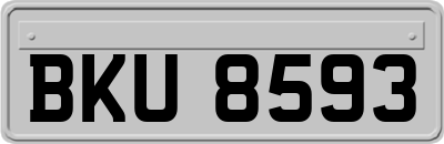 BKU8593