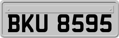 BKU8595