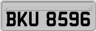 BKU8596