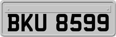 BKU8599