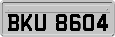 BKU8604