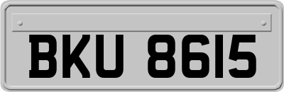 BKU8615