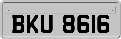 BKU8616