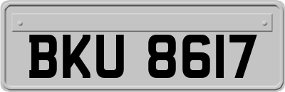 BKU8617