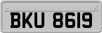BKU8619