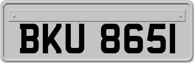 BKU8651