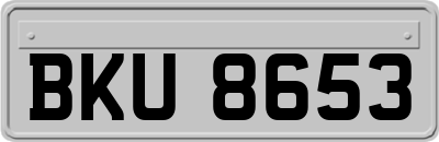 BKU8653