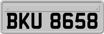 BKU8658
