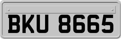 BKU8665