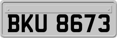 BKU8673