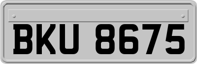 BKU8675