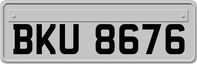 BKU8676