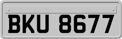 BKU8677