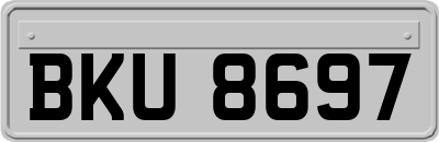 BKU8697