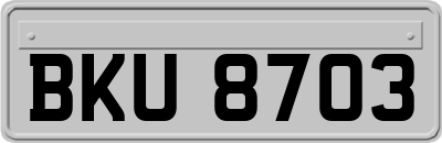 BKU8703