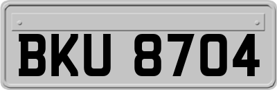 BKU8704