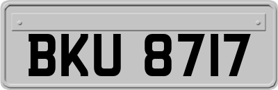 BKU8717