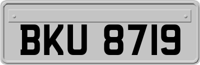BKU8719