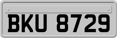 BKU8729