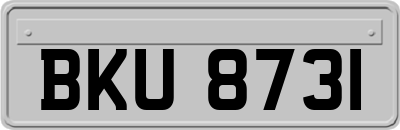 BKU8731
