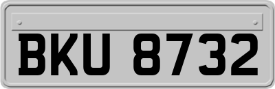 BKU8732