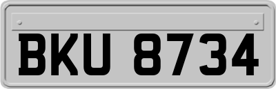 BKU8734
