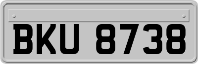 BKU8738